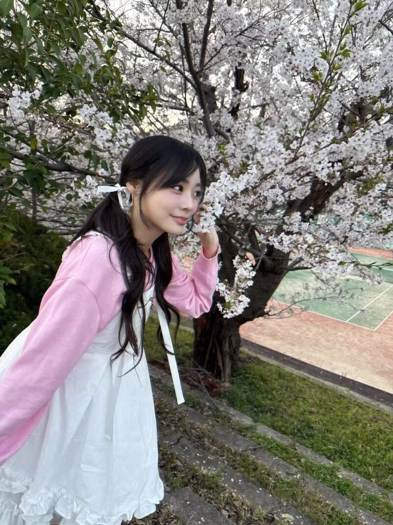 qwer 시요밍 벚꽃 나들이 인스타 3