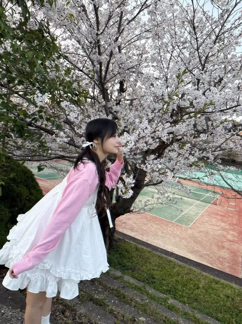 qwer 시요밍 벚꽃 나들이 인스타 9