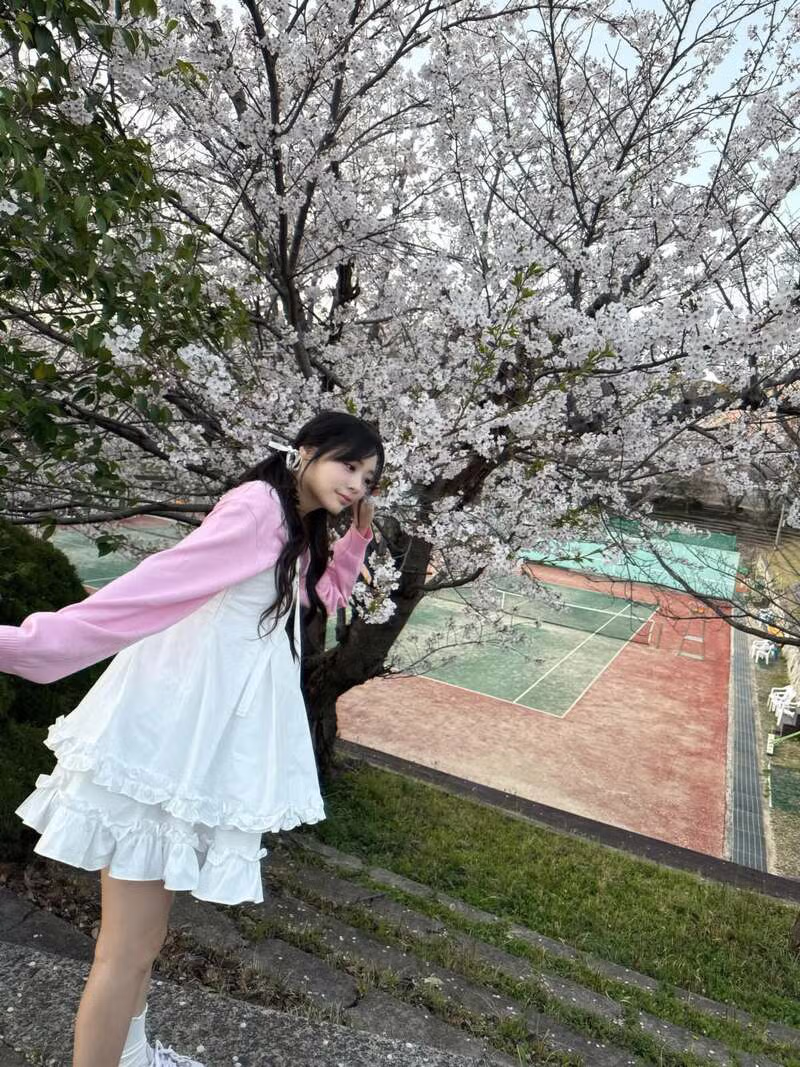 qwer 시요밍 벚꽃 나들이 인스타 10