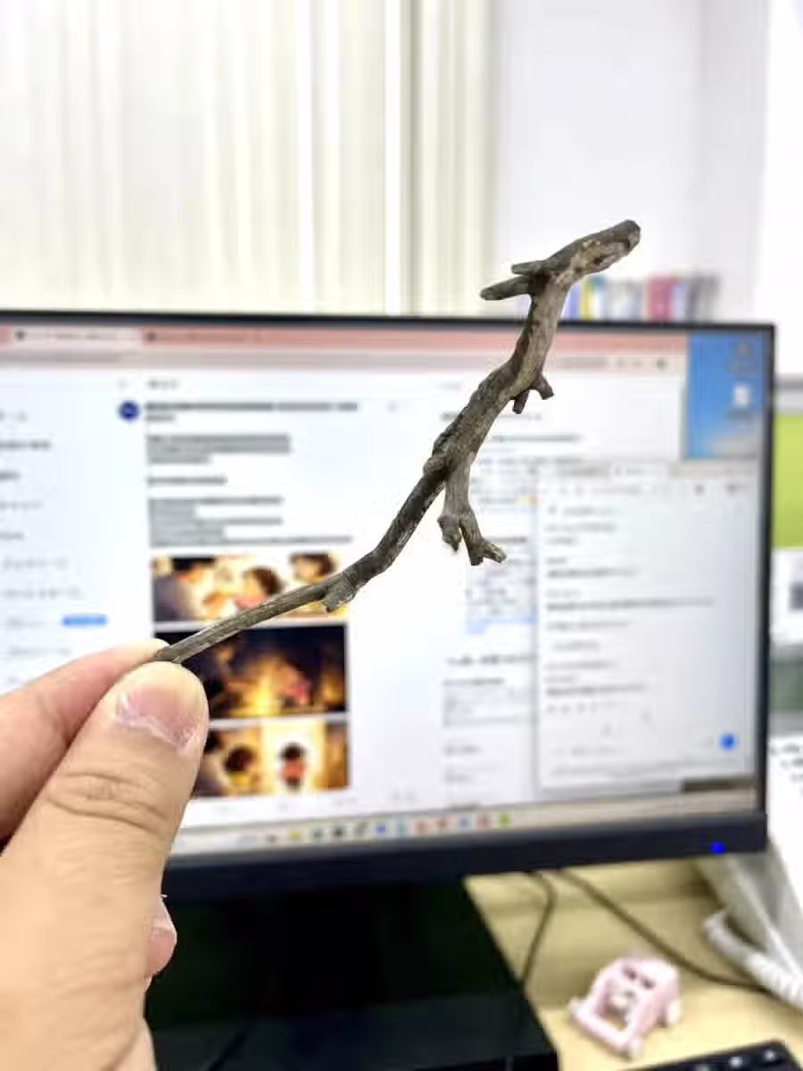 길 가다가 레어템 주운 일본인 2