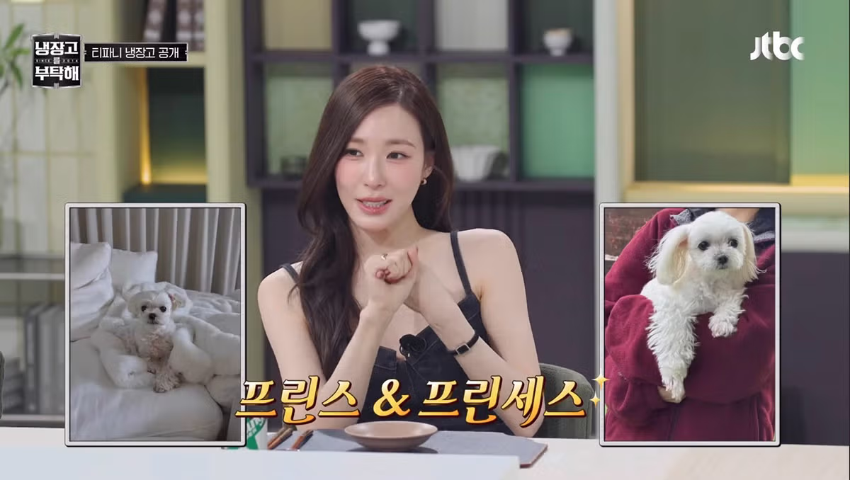 강아지 세마리 키우고 있다는 티파니 4