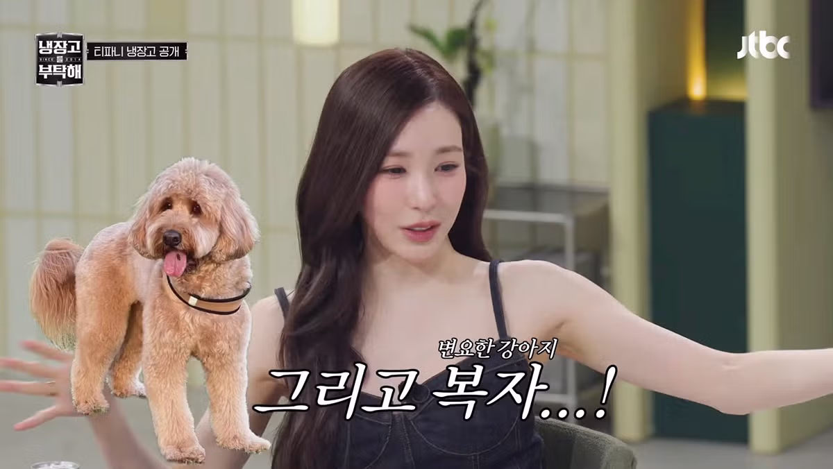 강아지 세마리 키우고 있다는 티파니 5