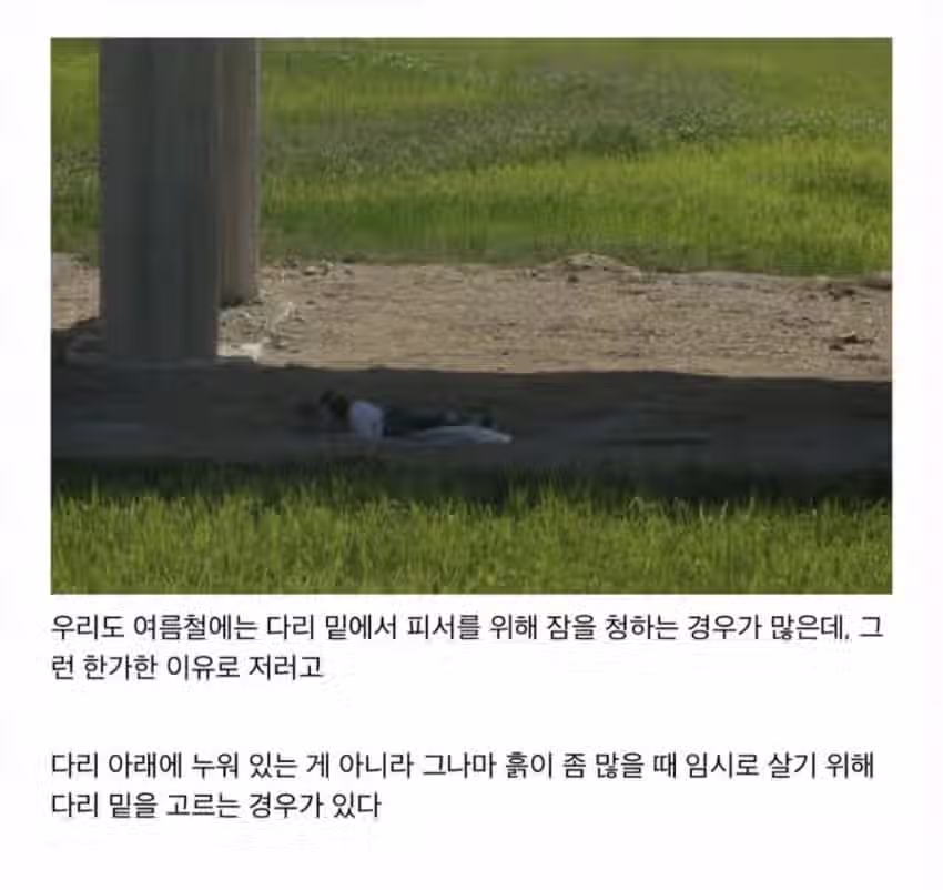 북한 흙수저의 실상 2