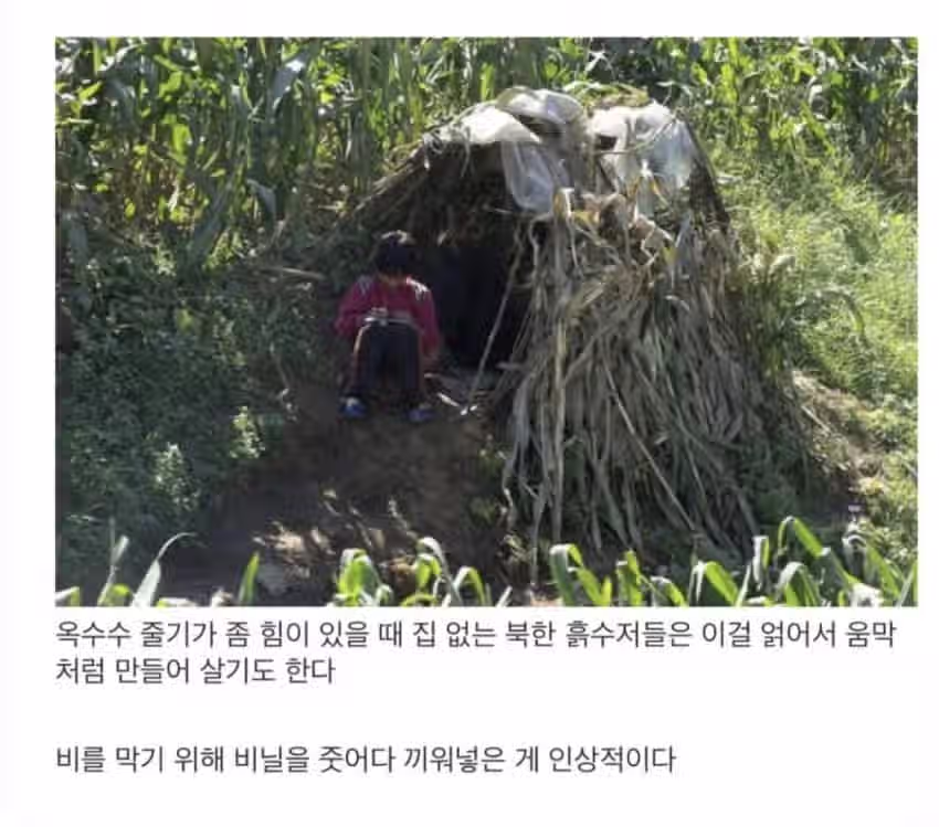 북한 흙수저의 실상 13