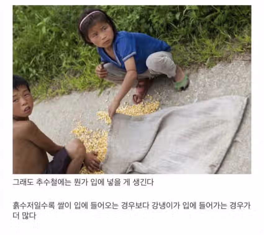 북한 흙수저의 실상 14