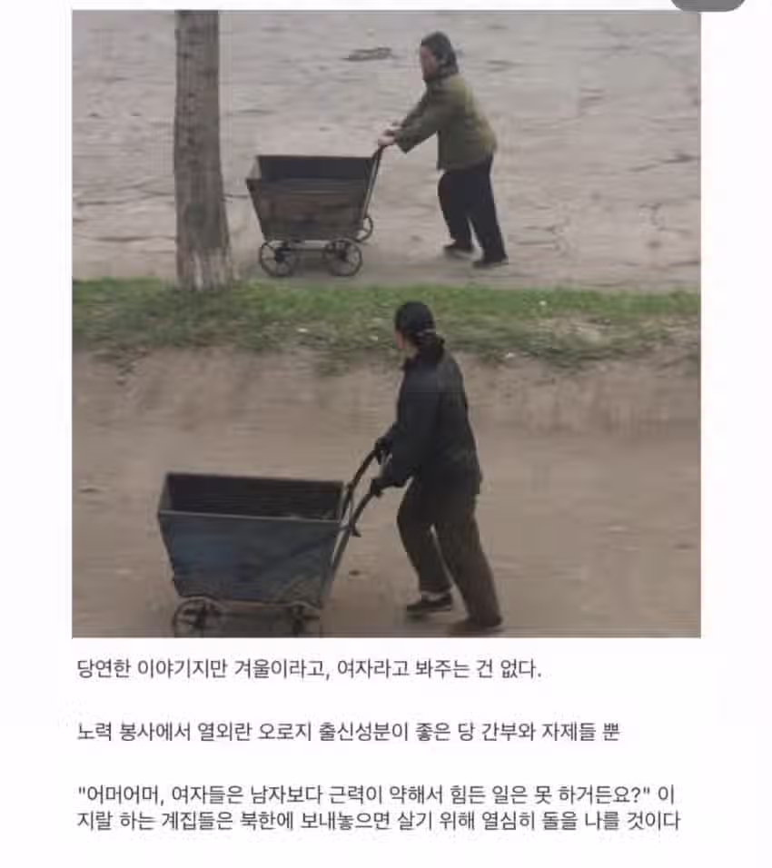 북한 흙수저의 실상 16