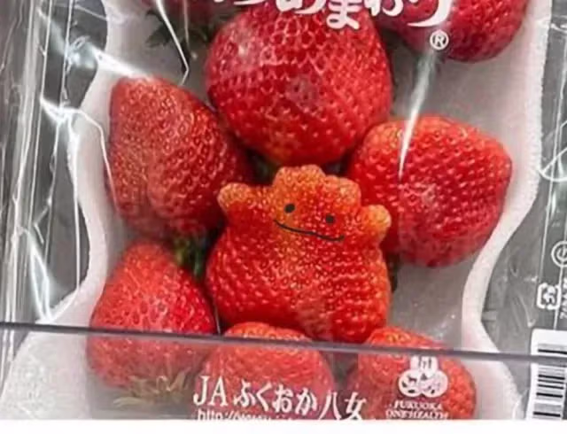 포켓몬)이걸 찾네 2