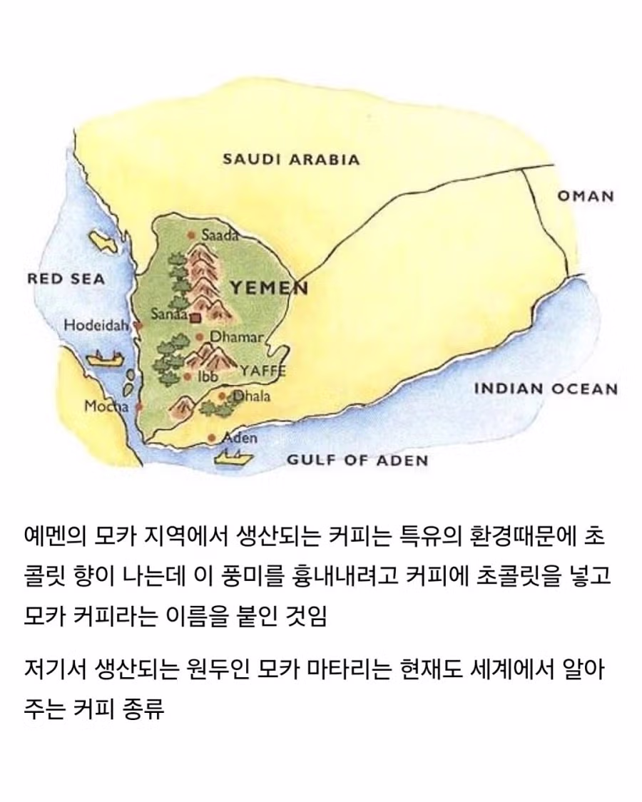 초콜릿 넣은 커피를 '카페 모카' 라고 부르는 이유.jpg 3