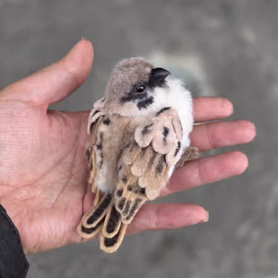 털인형을 4년 동안 만들면 발생하는 일 2