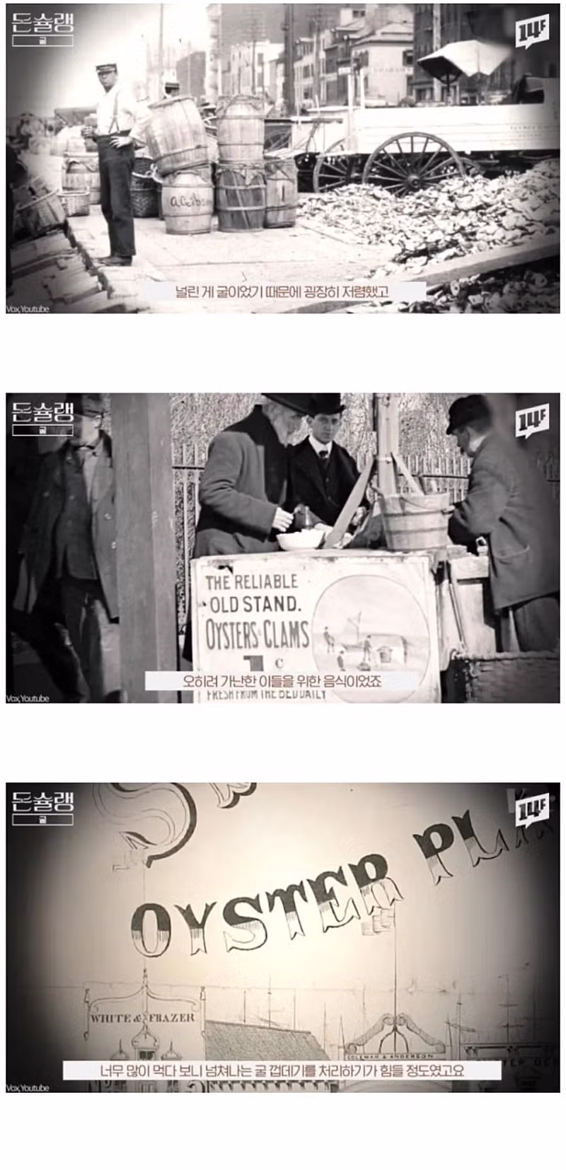 서양에서 굴 값이 비싼 진짜 이유 3