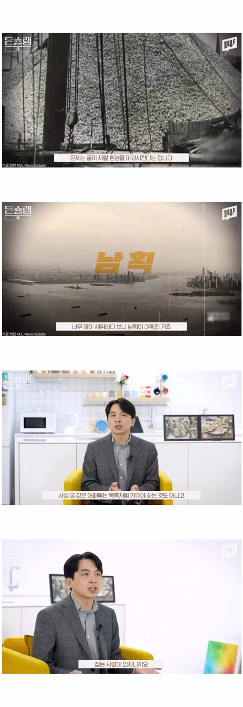 서양에서 굴 값이 비싼 진짜 이유 8