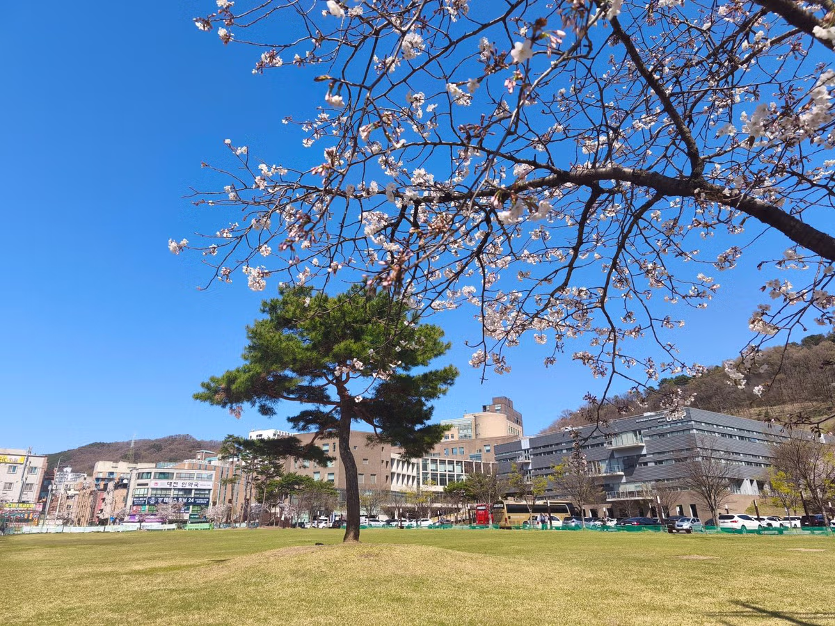 대전대학교 현재 풍경 jpg 2