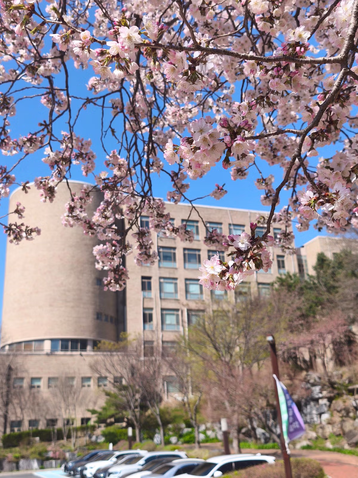 대전대학교 현재 풍경 jpg 4