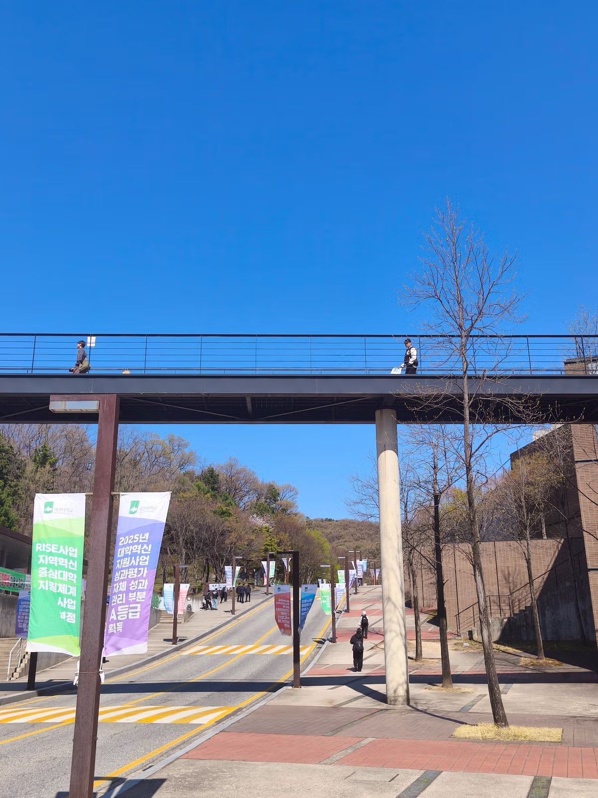 대전대학교 현재 풍경 jpg 7