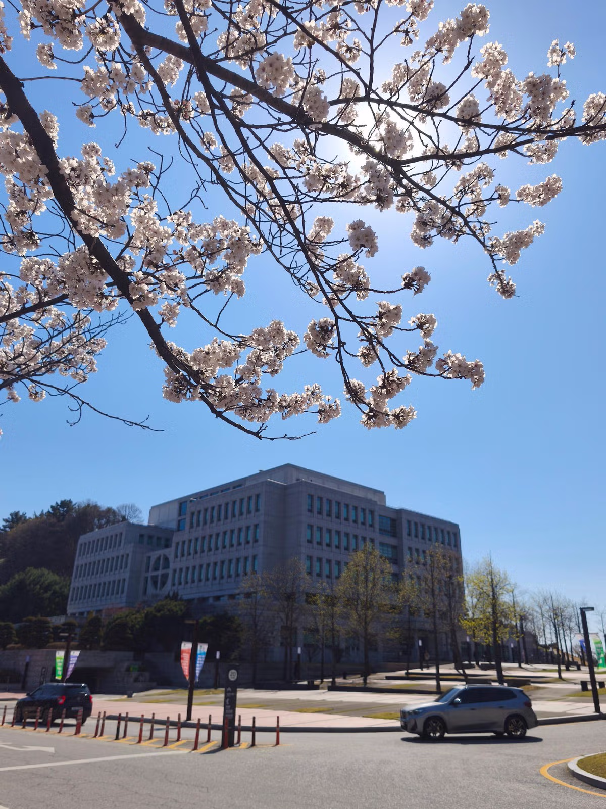 대전대학교 현재 풍경 jpg 8
