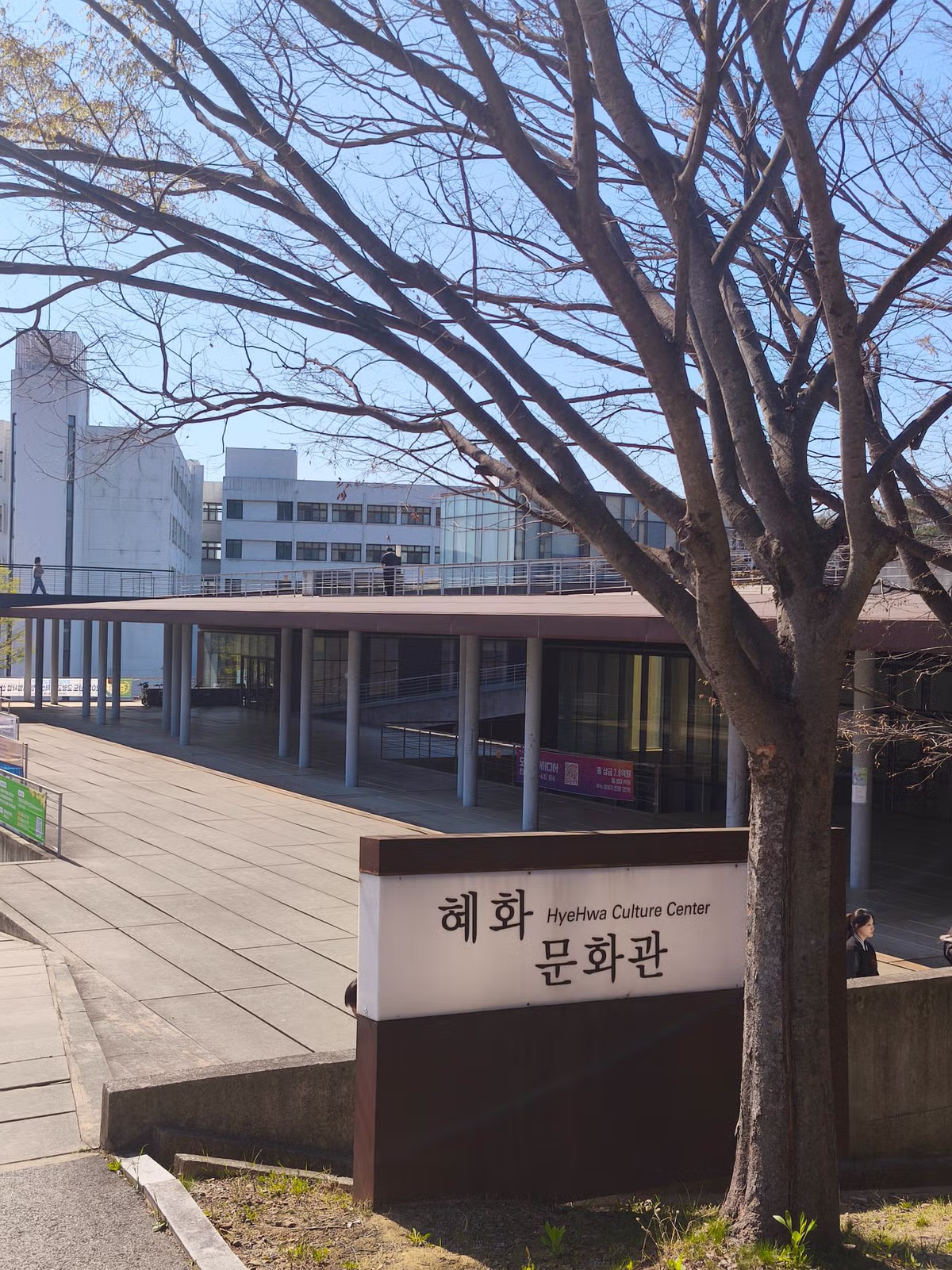 대전대학교 현재 풍경 jpg 9