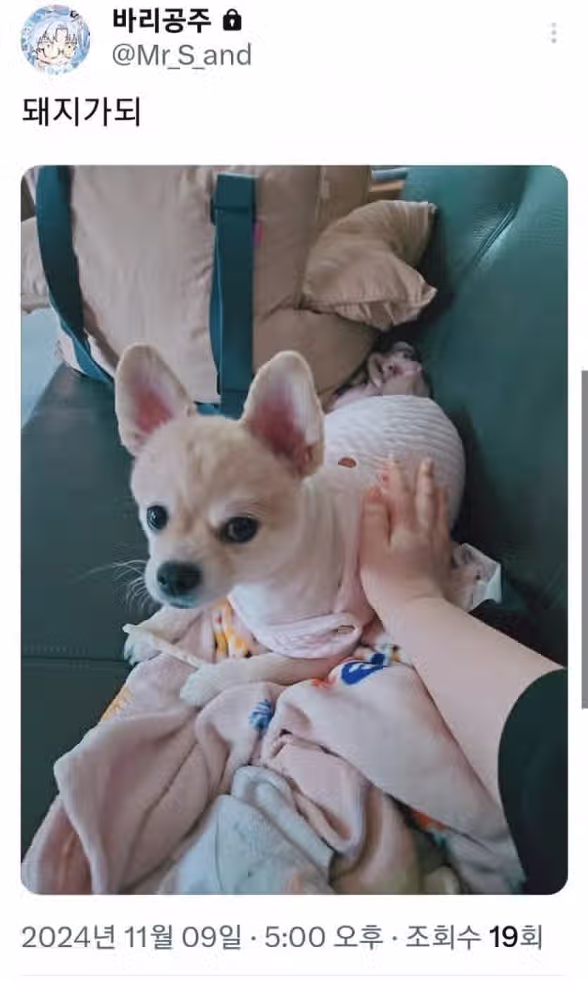 여대생이 공학 다니면서 느낀 최악의 경험 ㄷㄷ..jpg 2