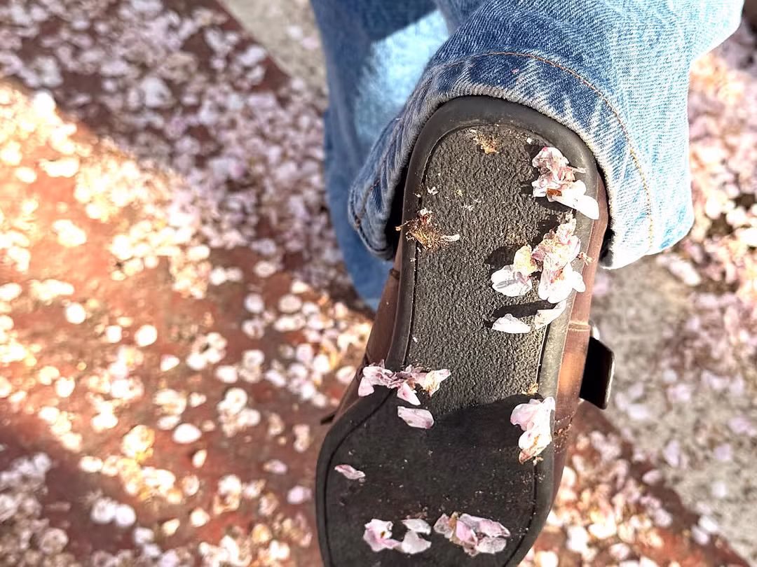 아이브 안유진 인스타(ft.엄마가 찍어준 여친짤🌸) 5