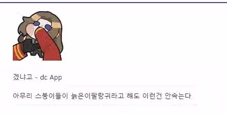 게임갤 분탕에서 신이 돼버린 유동 2