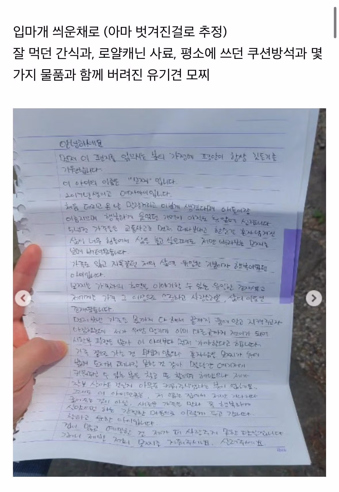 탄천주차장 버려진강아지 후기 3