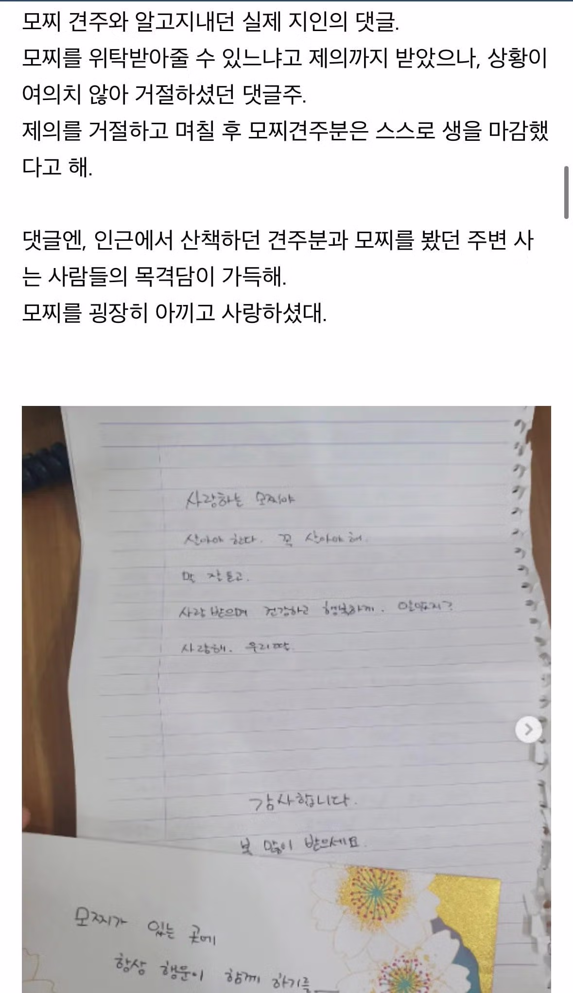 탄천주차장 버려진강아지 후기 7