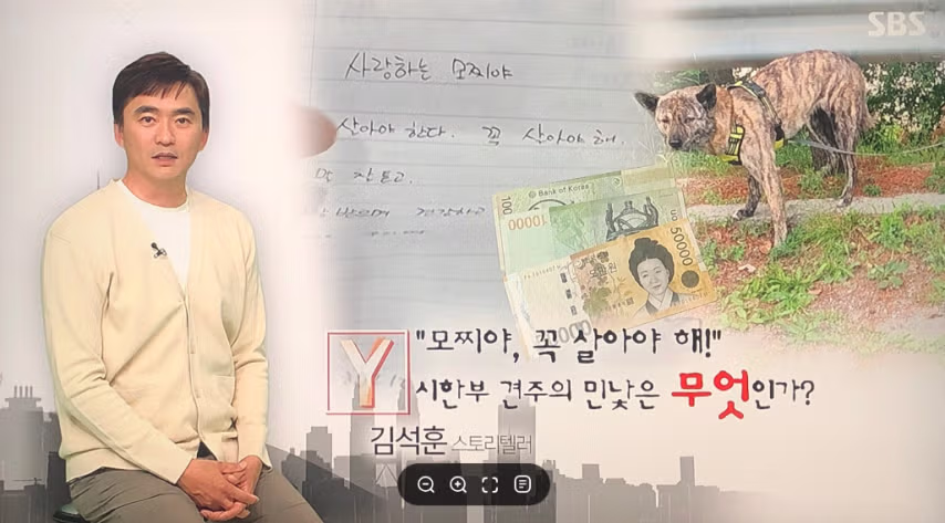 탄천주차장 버려진강아지 후기 8