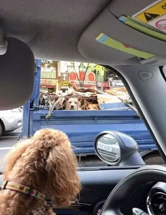 대한민국 역대 퓰리쳐상 후보들.jpg 5