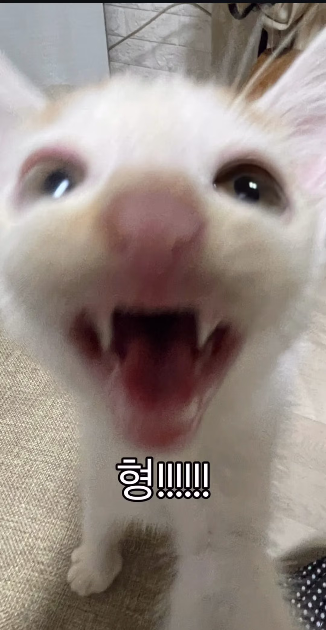 "형아! 나 드디어 눈 기증 받게 됐대!" 8