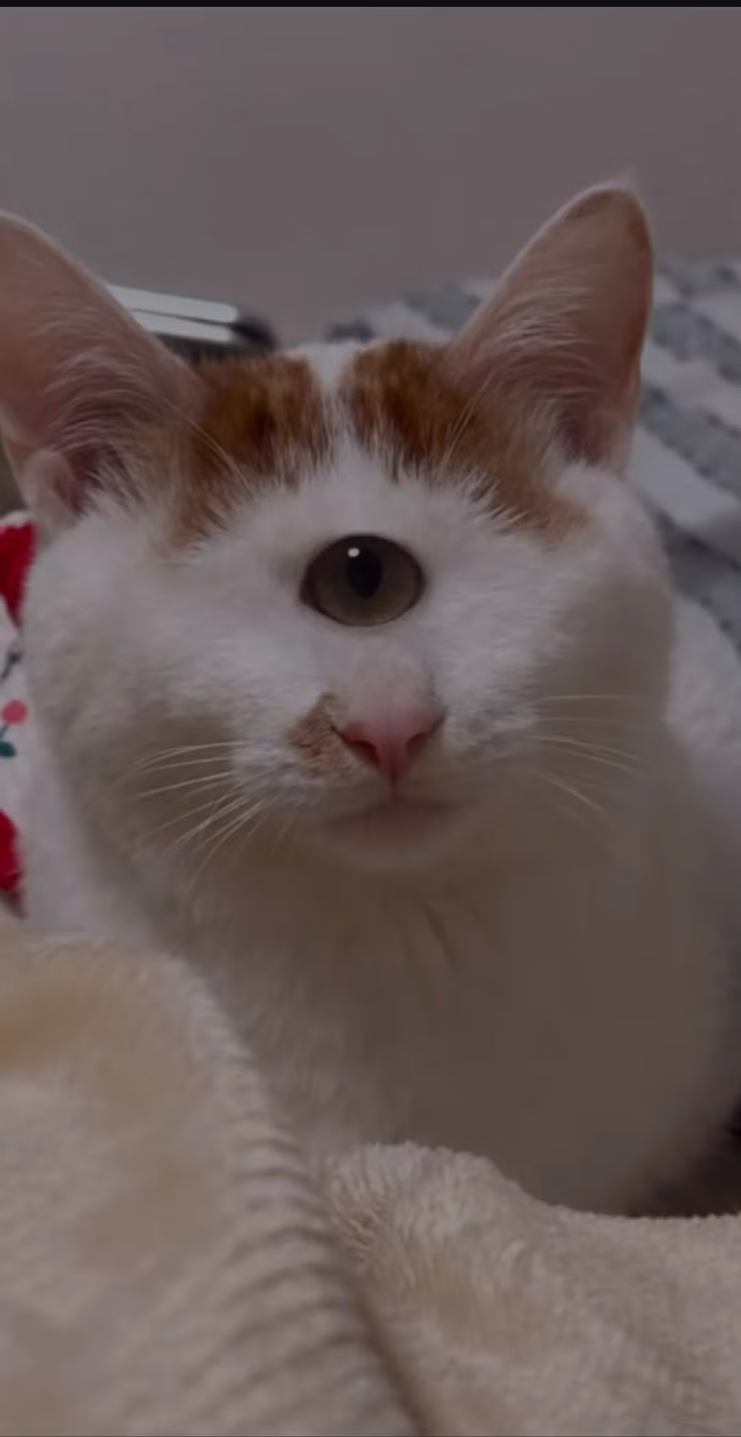 "형아! 나 드디어 눈 기증 받게 됐대!" 9