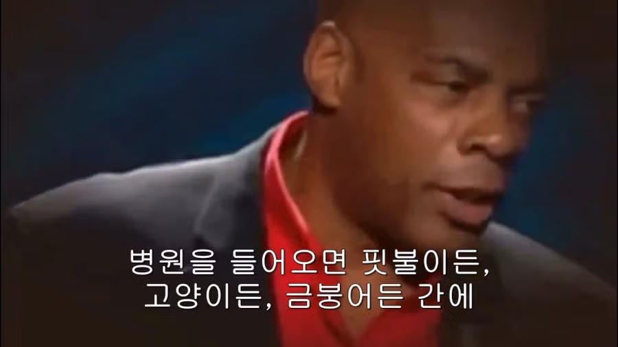 의사보다 수의사가 나은 이유 ㅋㅋㅋㅋㅋㅋㅋㅋ 20