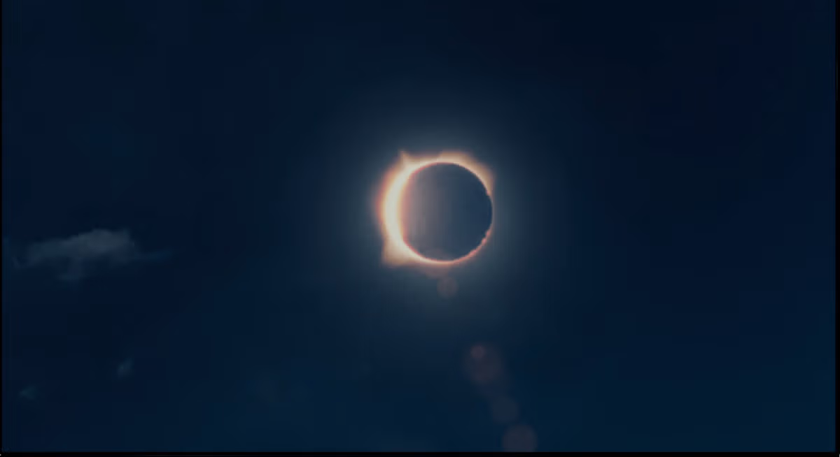 영화 아포칼립토에서 알고 보면 더 찝찝한 장면 7