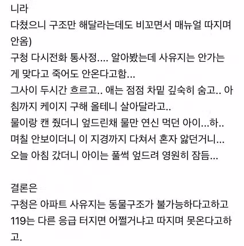 119가 안 와서 빡친 캣맘... 2