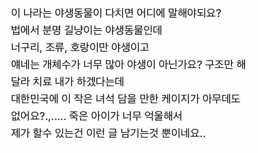 119가 안 와서 빡친 캣맘... 3