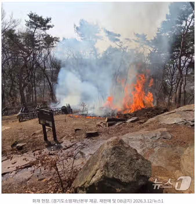 [단독]수원 팔달산 다 태우려했나…방화 용의자, 7곳에 불 질렀다 2