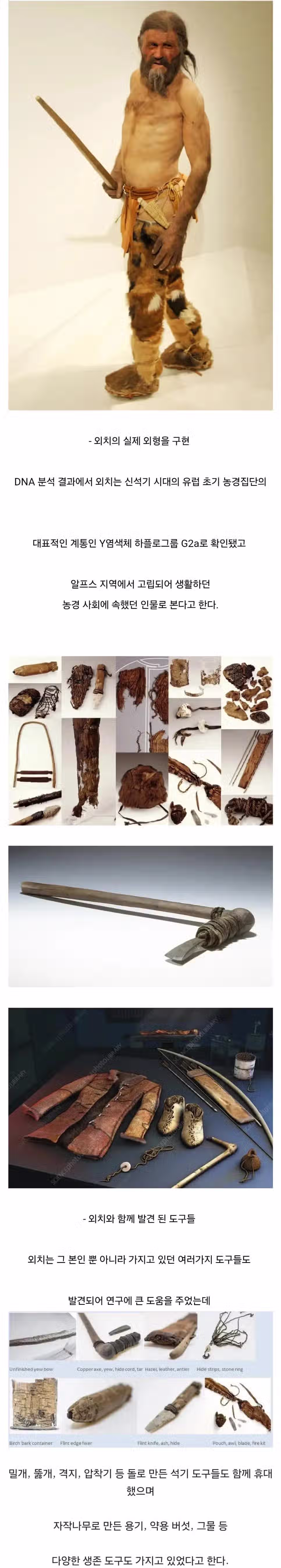 얼음 속에서 5000년 넘게 잠들어 있던 미라 이야기 5