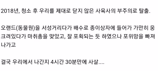 대전 오월드에서 탈출했던 퓨마가 탈출해서 숨어있던 곳55 2