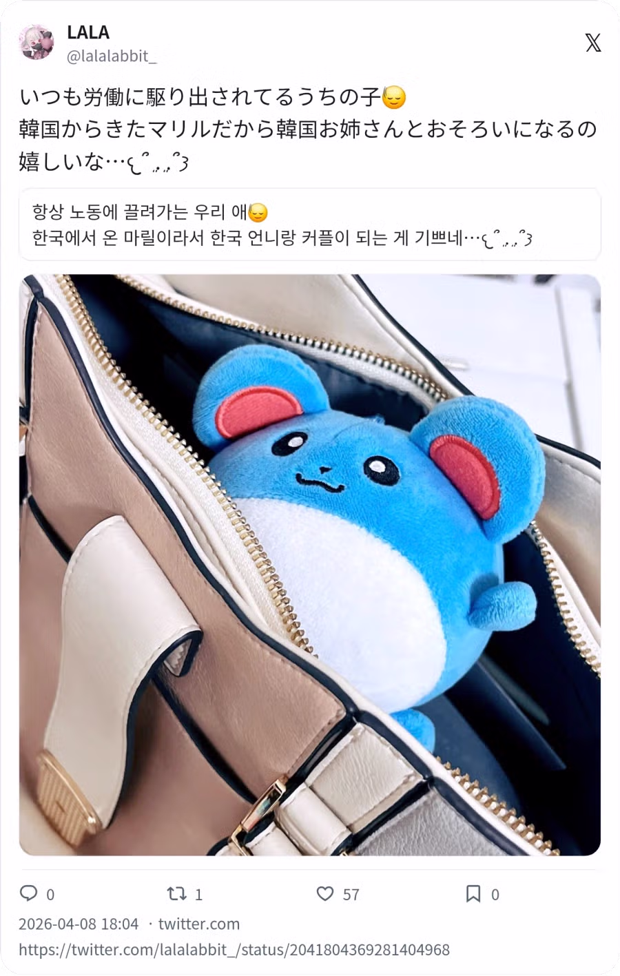 데리고 다니는 반려 포켓몬 5