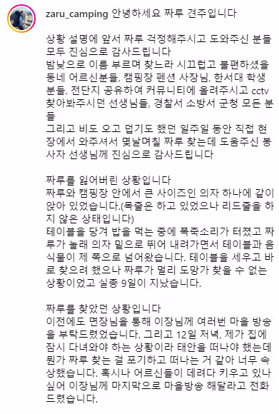 목줄 없이 개와 캠핑하던 유튜버 3