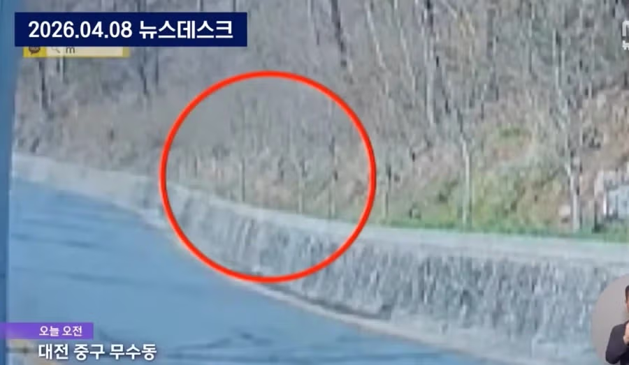 대전, 탈출 늑대 늑구가 안 잡히는 이유 2