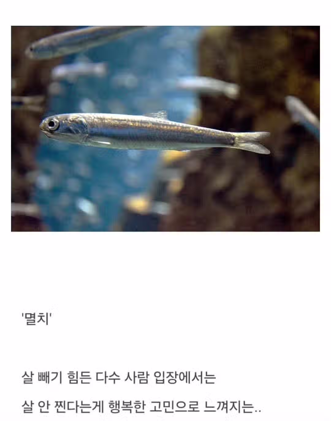 일반인 입장에서는 이해되지 않는 고민.jpg 2