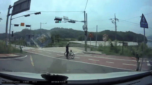 동물들이 보여주는 리더의 품격 3