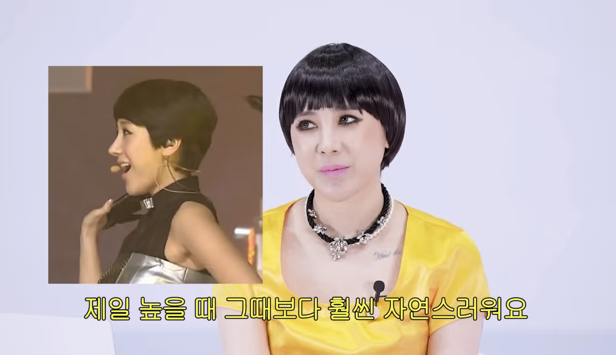 서인영 코(끝)성형 5번 하기 전81 9