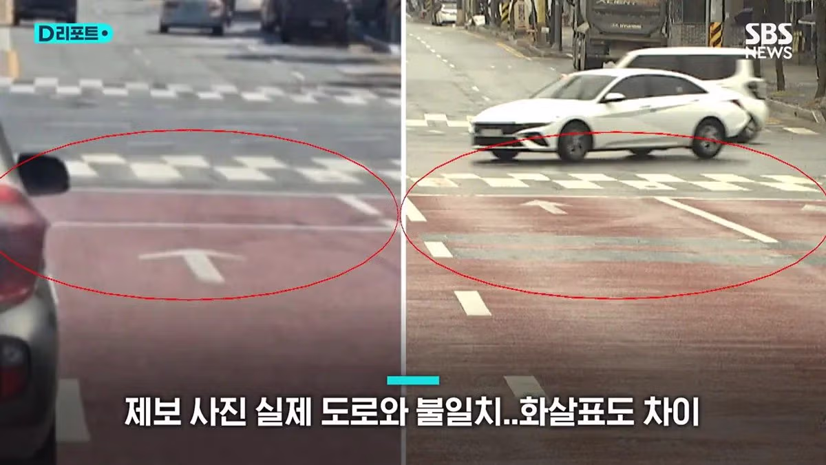 알고보니 모두 ai 조작짤이었던 늑구 목격사진 2