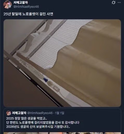 노로 바이러스 가챠.jpg 2