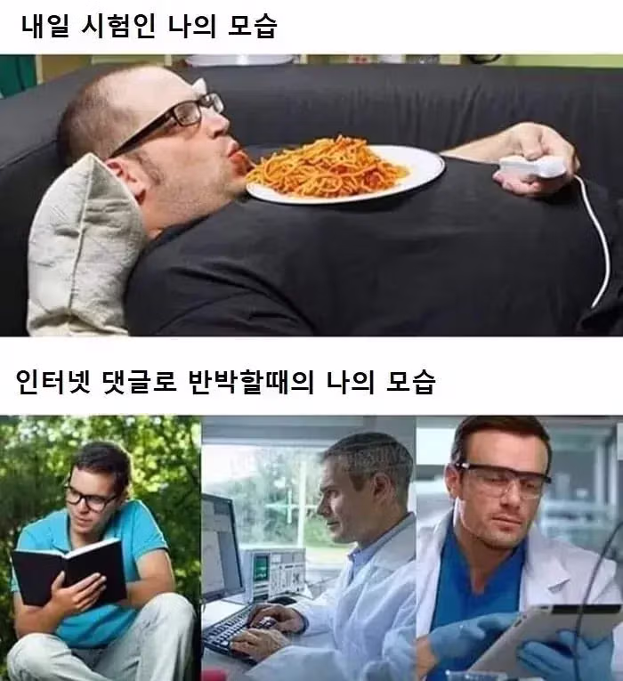 인터넷에서 자주 볼 수 있는 유형 - 루리웹 인기글 이미지 1 - 밈카세
