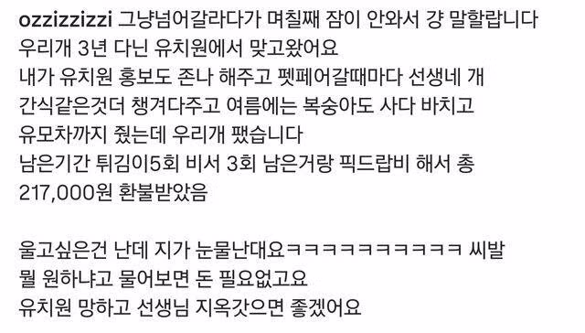 현재 난리났다는 강아지유치원 학대 영상 ㅎㄷㄷㄷㄷㄷ 2
