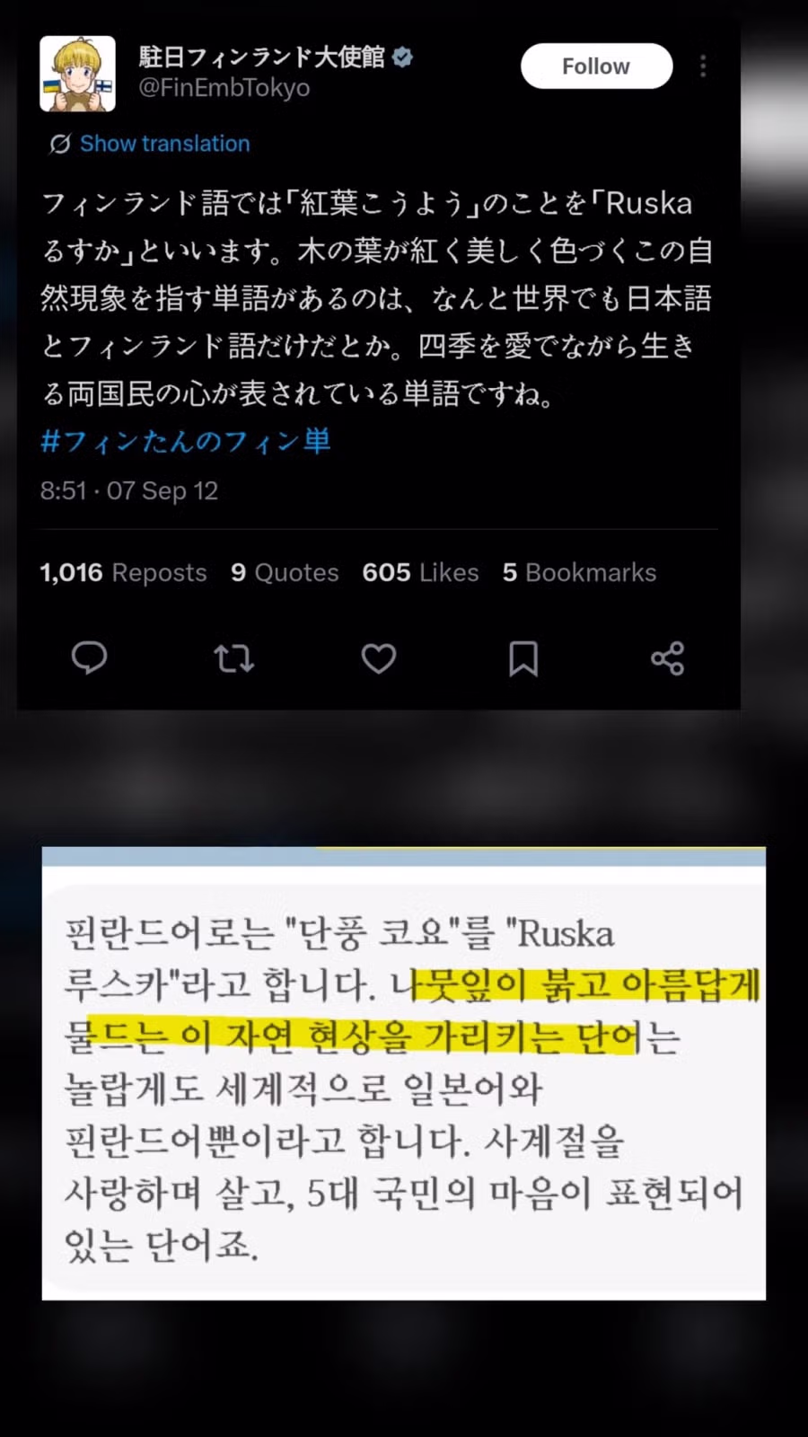 전세계 일본만 시리즈 6