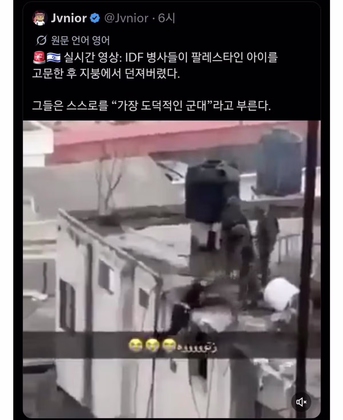 이스라엘 군. 팔레스타인 아이를 옥상에서 던짐 - 개드립 인기글 이미지 1 - 밈카세