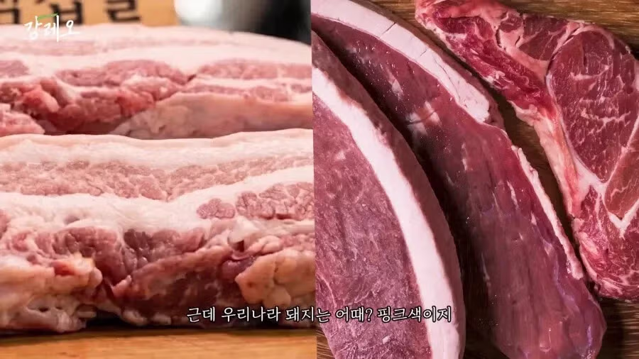 한국 고기는 아쉽다는 강레오 16