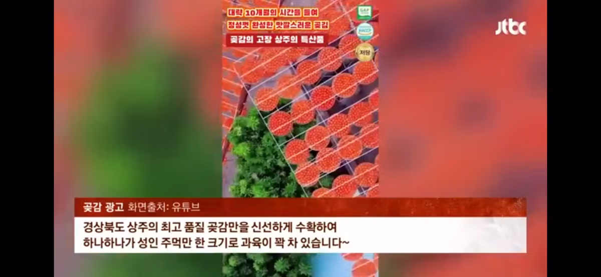 요즘 유행중인 중국 신종사기 .jpg 3